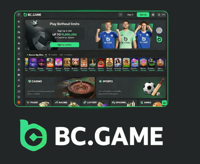 Step-by-Step Guide to BC.Game Registration Process -224210057